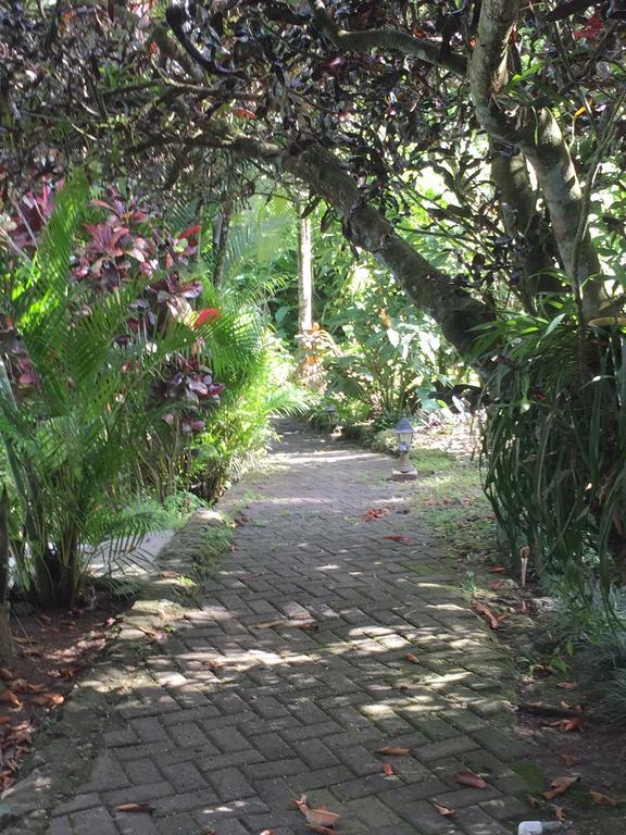 Magellan Boutique Hotel Cahuita Exterior foto